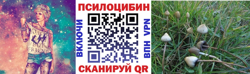 закладки  Ступино  KRAKEN сайт  Галлюциногенные грибы GOLDEN TEACHER 