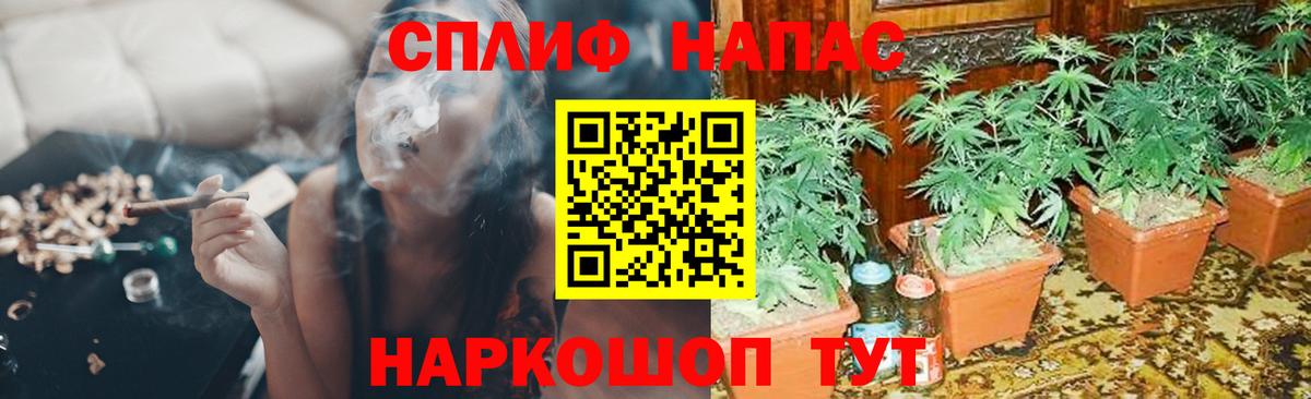 Бошки Шишки сатива Ступино